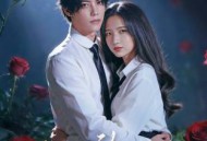 这是心动的感觉