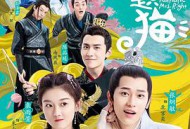 报告王爷，王妃是只猫第一季MP4格式