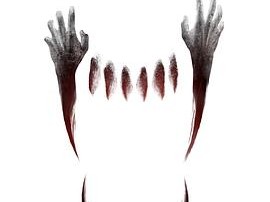 铁杉树丛第二季