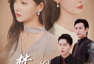 旧梦如烟念倾约