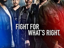 芝加哥警署第四季