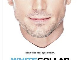 妙警贼探 第五季