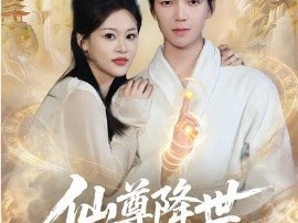 仙尊降世沦为上门郎