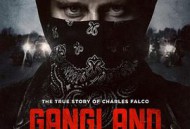 黑帮卧底第一季