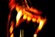 美国狼人在巴黎