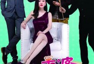 再见，老婆大人MP4格式