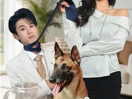 变成狗后，被女上司捡回家了