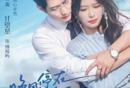 晚风停在她身后