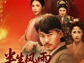 半生风雨半生酒