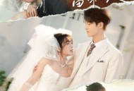 贺太太，你是我的蓄谋已久