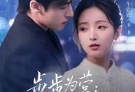 步步为营秦小姐的局