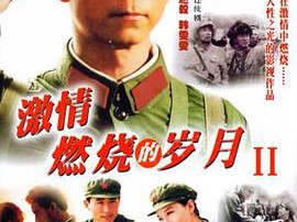 激情燃烧的岁月2MP4格式