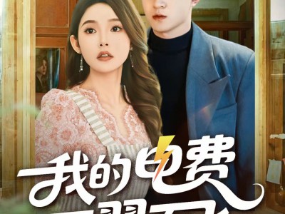 我的电费不翼而飞