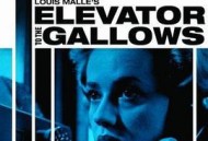 通往绞刑架的电梯
