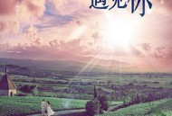 谁都渴望遇见你MP4格式