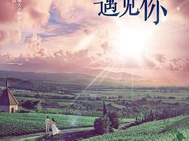 谁都渴望遇见你MP4格式