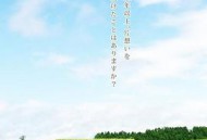 特别普通的恋爱