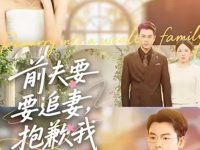 前夫要追妻，抱歉我领证了