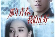 那年青春我们正好MP4格式