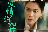 错爱情深如草芥