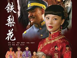 铁梨花MP4格式