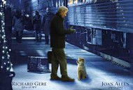 忠犬八公的故事