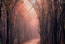 钙钛矿图像传感器性能大幅提升