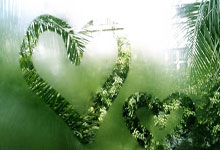 实验室生成最短硬X射线激光脉冲