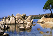 钙钛矿图像传感器性能大幅提升