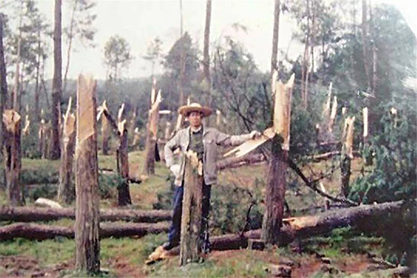 揭秘1994年中国“空中怪车”事件，UFO或许真实存在。