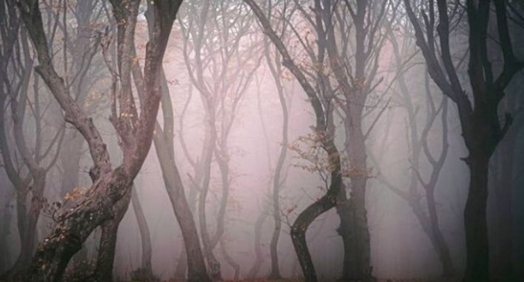 1980年始的蓝道申森林事件，UFO是否真实存在？