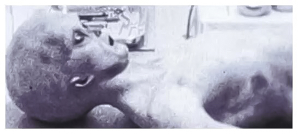 美国今年多次发现UFO踪迹，能否确认UFO真实存在呢？