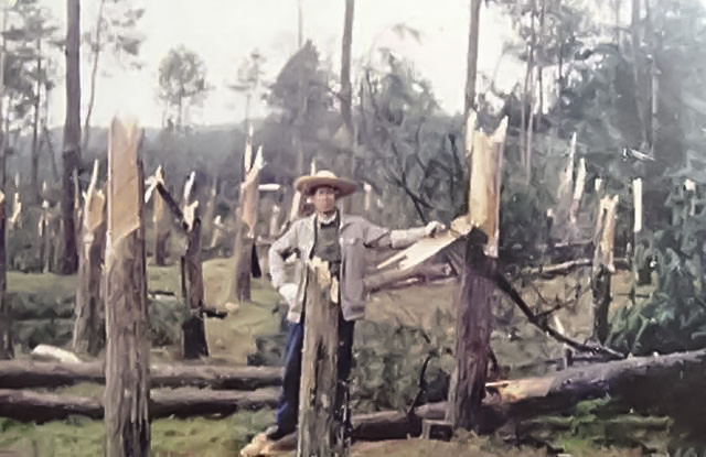 中国重要的三大真实UFO事件，亲眼看见外星人！
