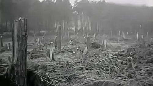 中国重要的三大真实UFO事件，亲眼看见外星人！