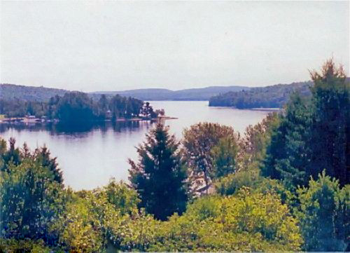 著名的1976年阿拉加会什四人组外星人绑架事件