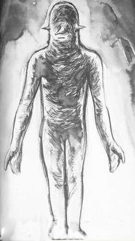 美国帕斯卡古拉UFO事件