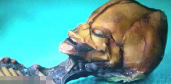 小人国真的存在么？