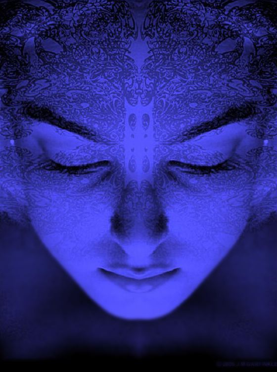 科学探索：Deja-vu现象（似曾相似的画面）