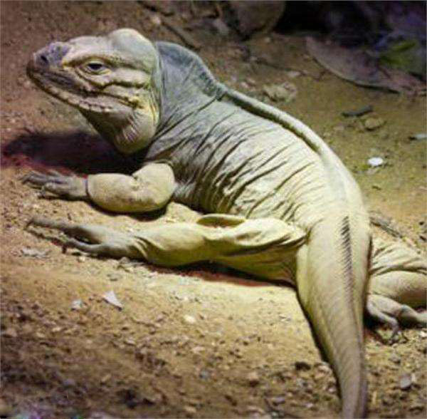 神秘的罗布泊之谜