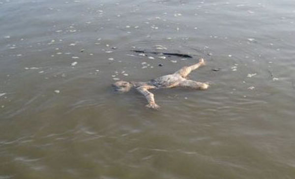 印度恒河有怎样的魔力，河水竟能不被污染