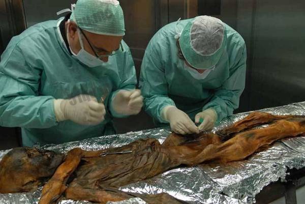 世界上被第一个发现的木乃伊奥兹冰人，他的诅咒是真的么