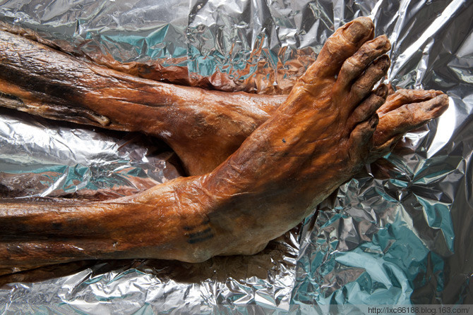 世界上被第一个发现的木乃伊奥兹冰人，他的诅咒是真的么