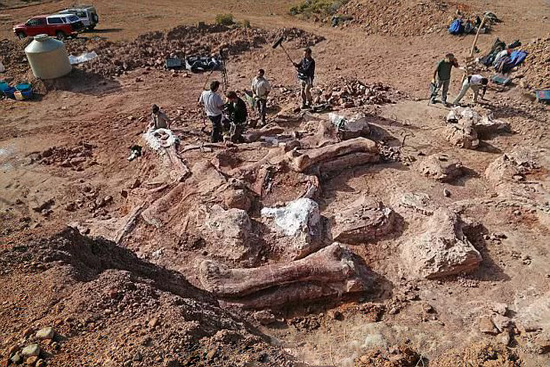 放羊人发现巨骨，众人挖出史前巨兽！