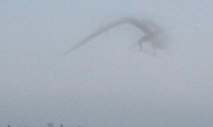 我们身为“龙”的传人？那么龙真的存在么