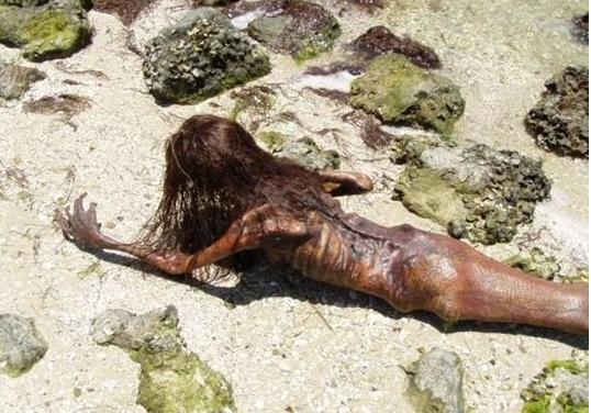 美人鱼是否存在？