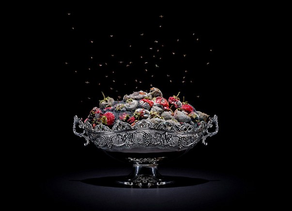 在人类消失之后的一万年里，地球到底会是什么样的呢？