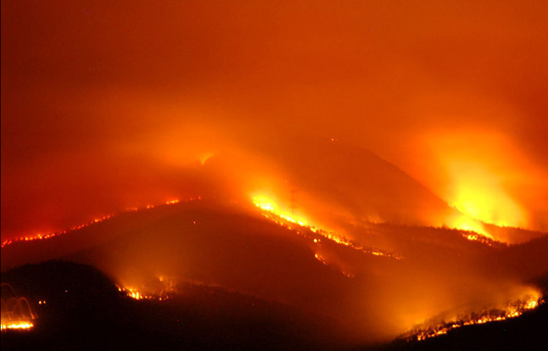 在人类消失之后的一万年里，地球到底会是什么样的呢？
