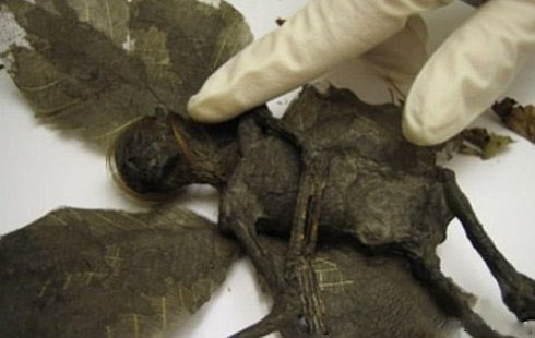 “飞人”是否真的存在，为什么西方与东方都有记载和描述？