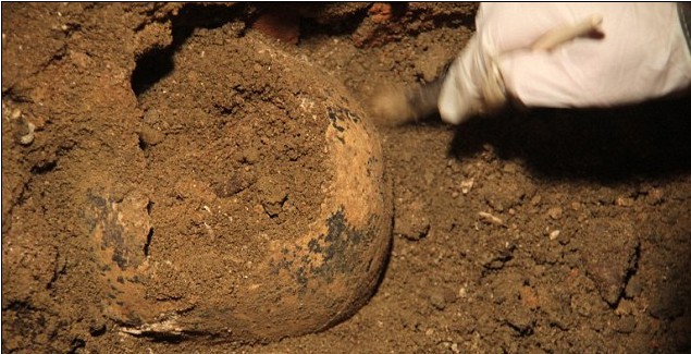 蒙娜丽莎的微笑之谜