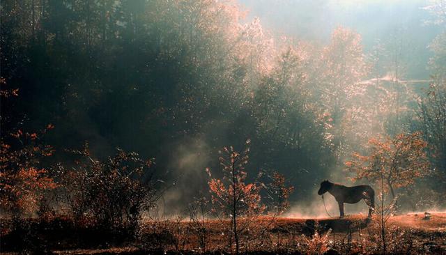  活了256岁的传说 